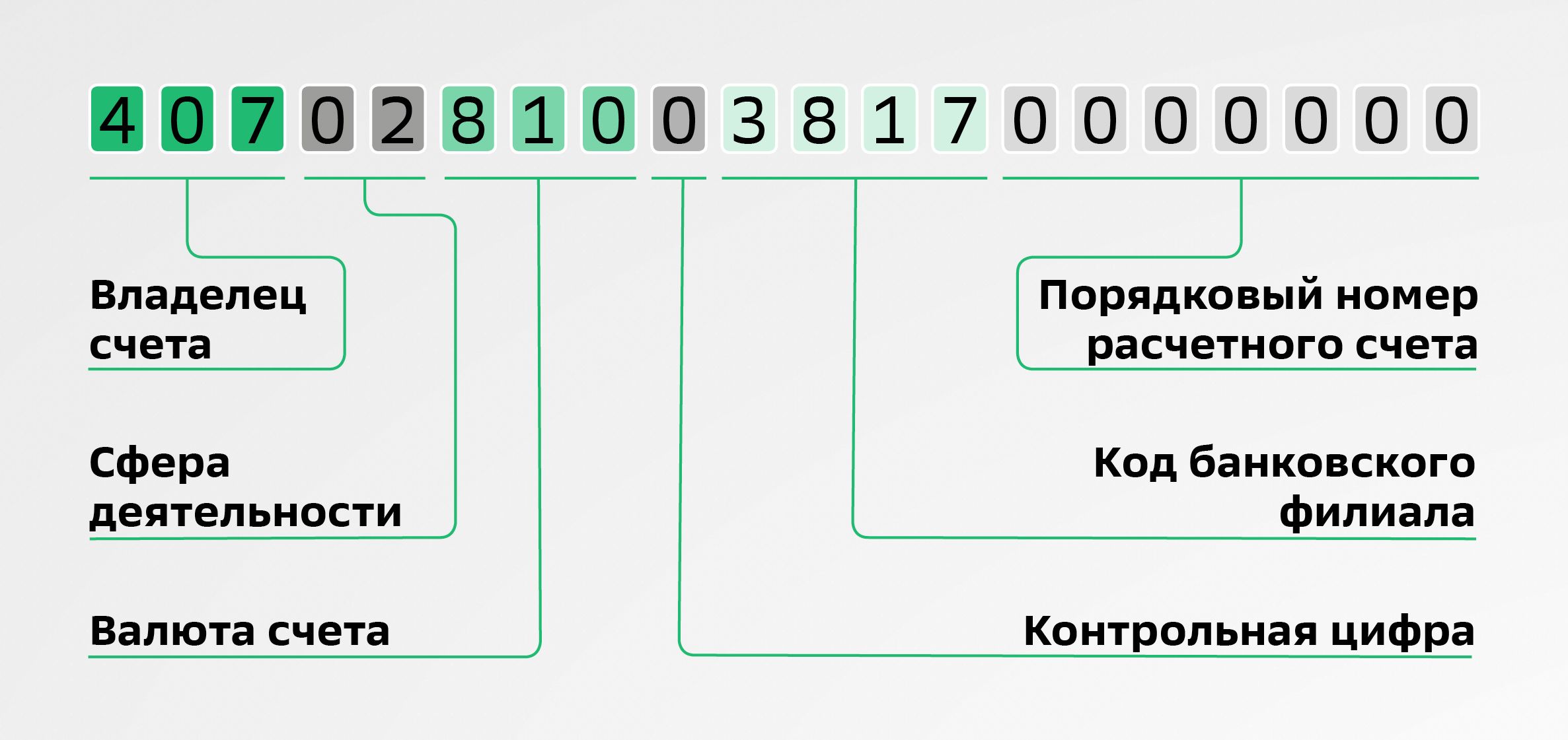 В чем разница между расчетным и лицевым счетом | Деловая среда