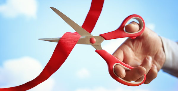 Как открыть бизнес бесплатно и без посещения налоговой в 2025 году