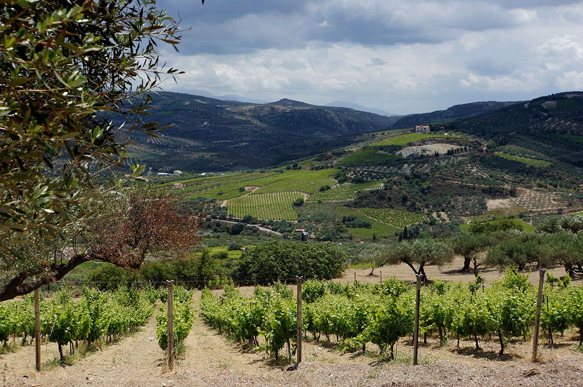 Как зарабатывать на агротуризме