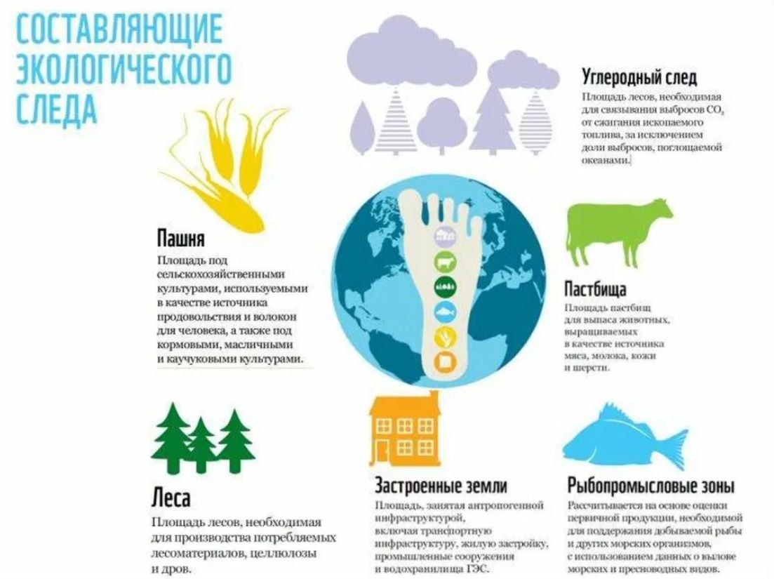 Профессия эколог: описание профессии, где учиться, работать, плюсы и минусы профессии