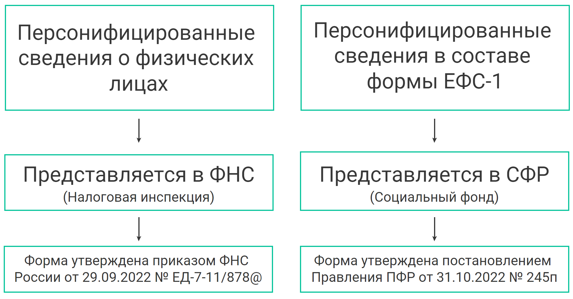 Персонифицированные сведения о физических лицах: как и куда сдавать отчет | Деловая среда