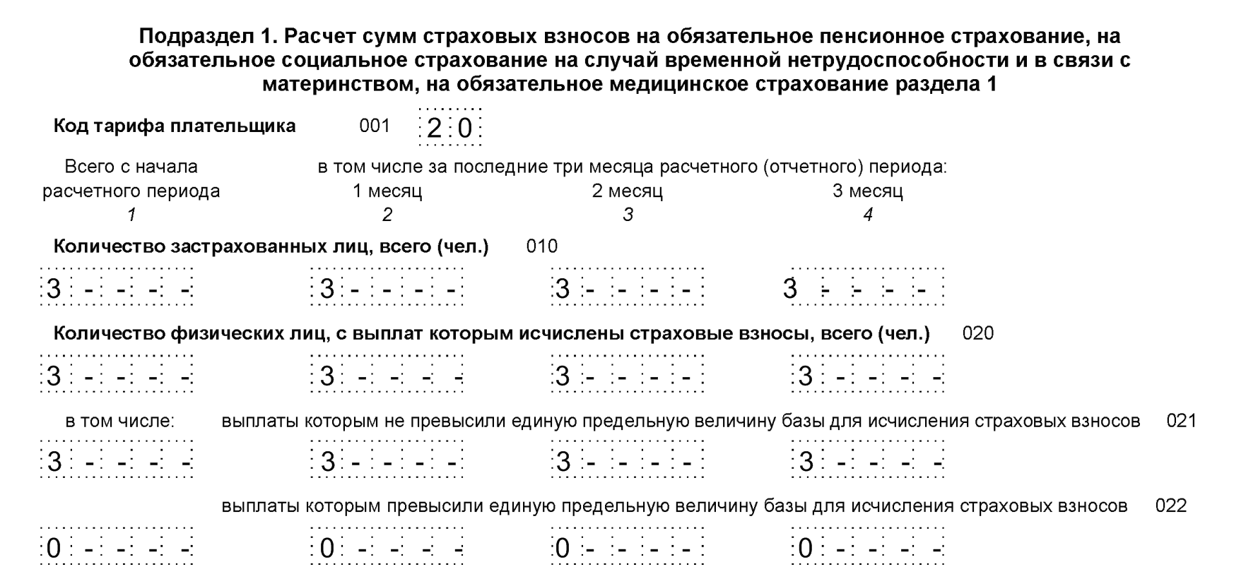 Образец оформления Подраздела 1 Раздела 1 по льготному тарифу