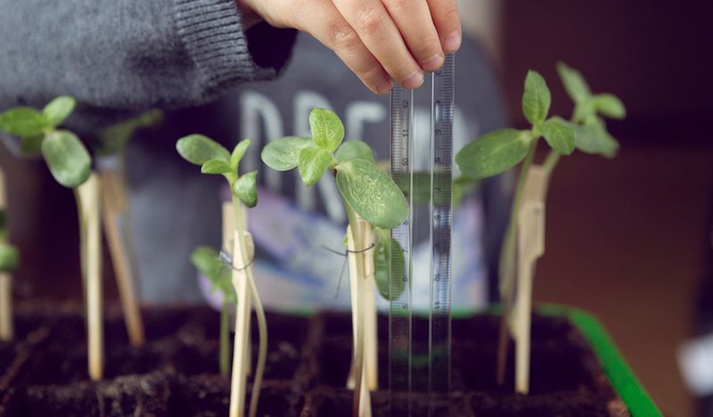 Секреты найма «правильных» людей