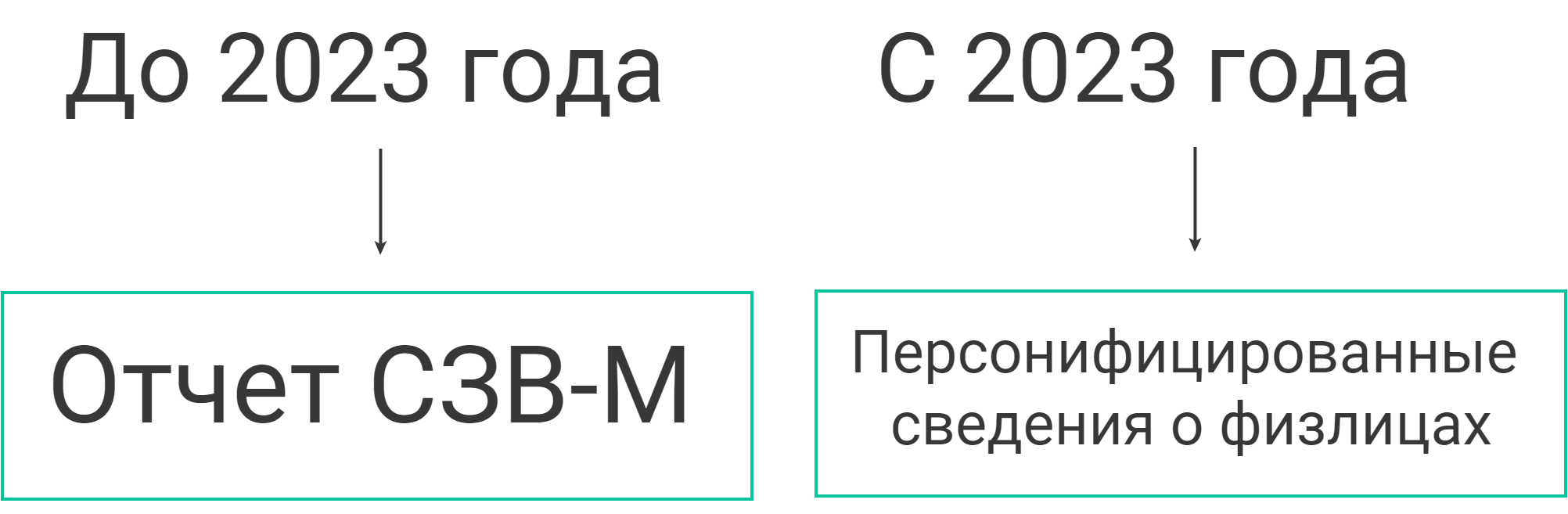 Персонифицированные сведения о физических лицах: как и куда сдавать отчет | Деловая среда