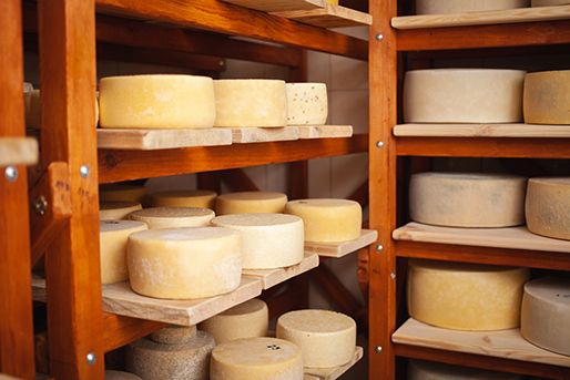 Как открыть бизнес по производству сыра